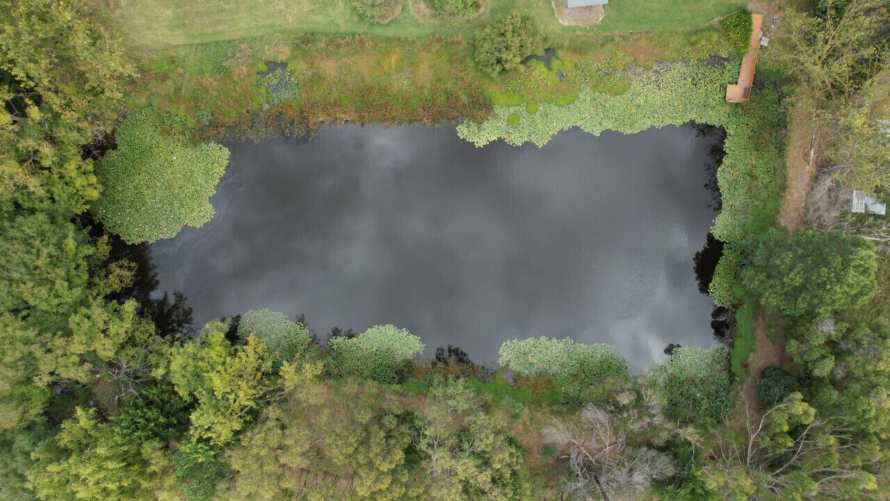 Photo of Outdoor in Badger Creek