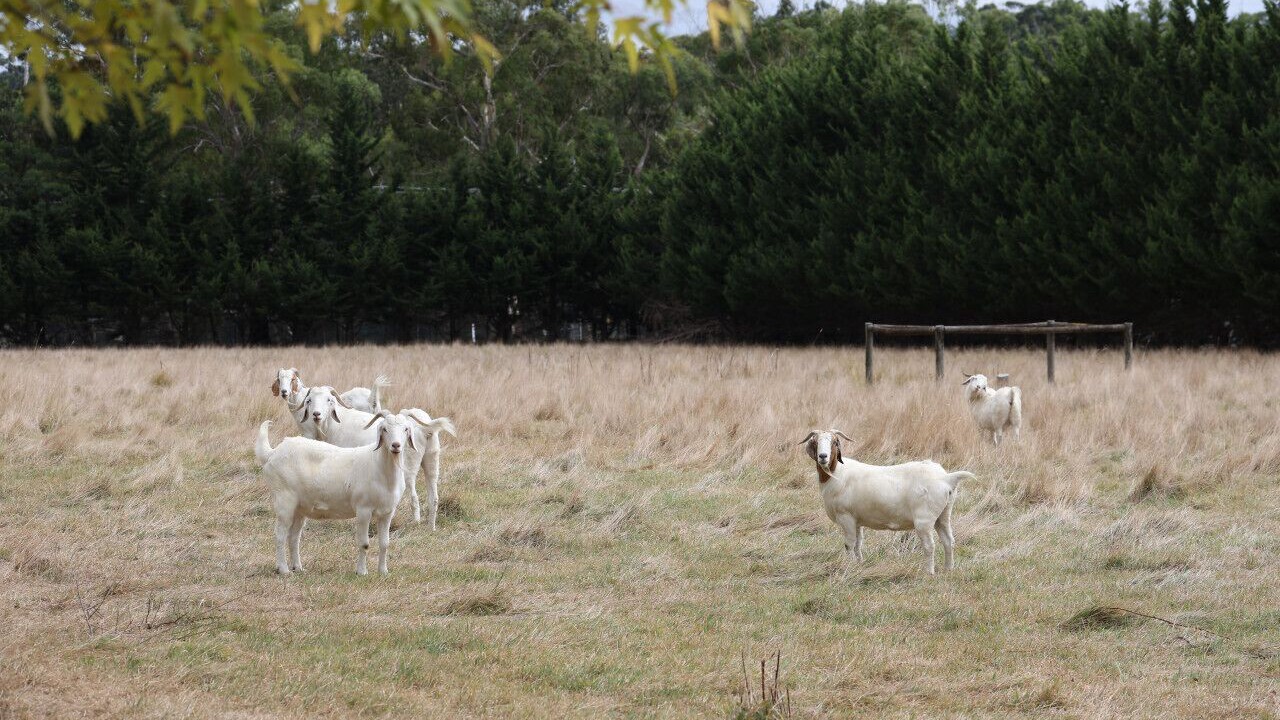 Photo of Others in Badger Creek