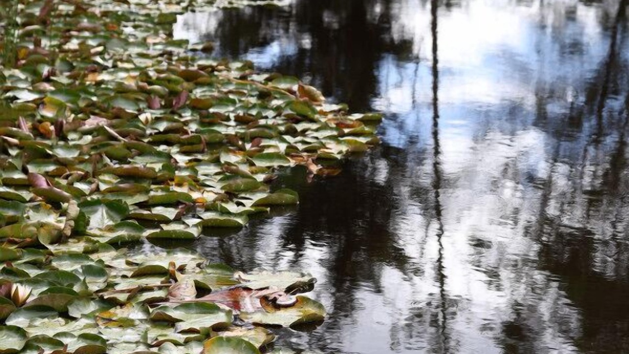 Photo of Outdoor in Badger Creek