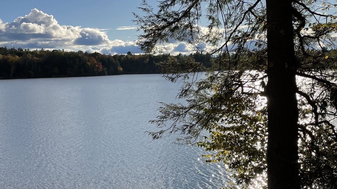 Photo of Others in Tolland