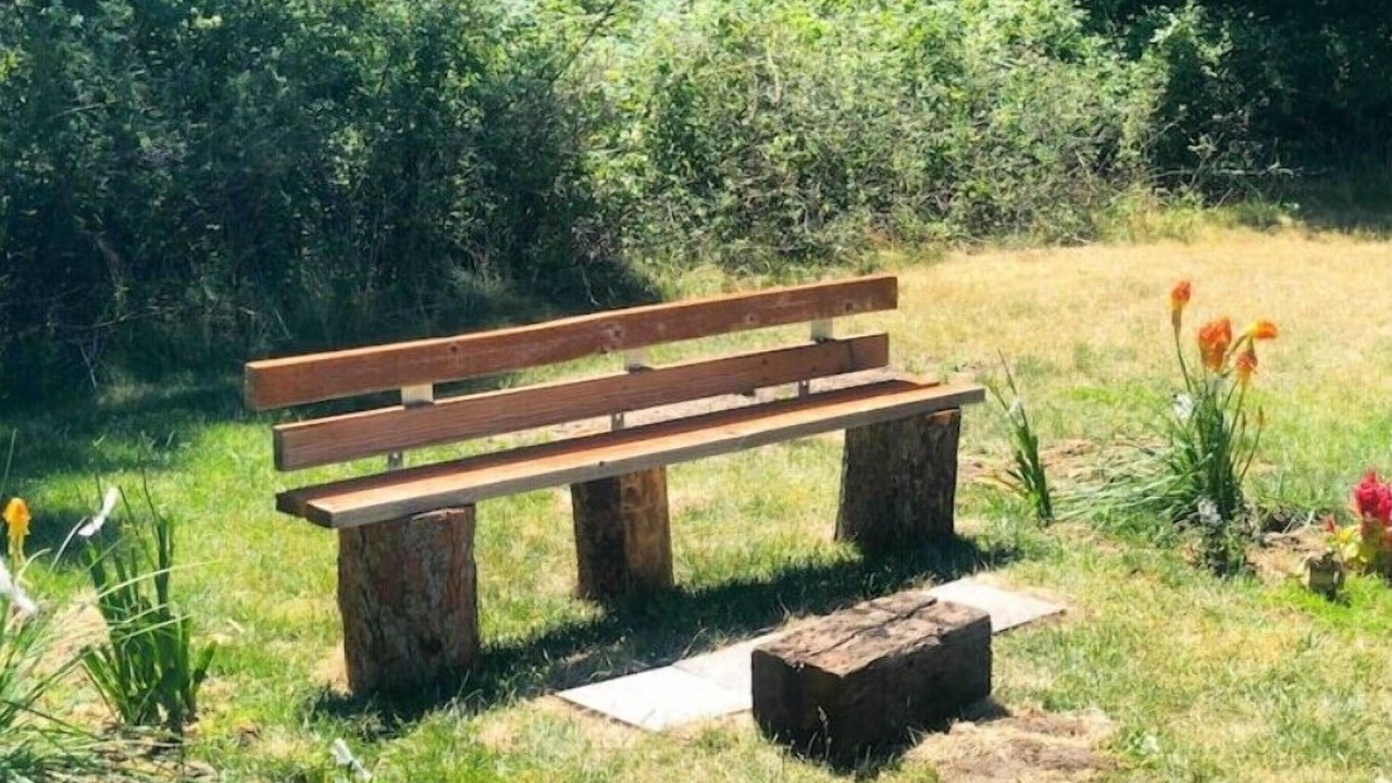 Photo of Outdoor in Dryden