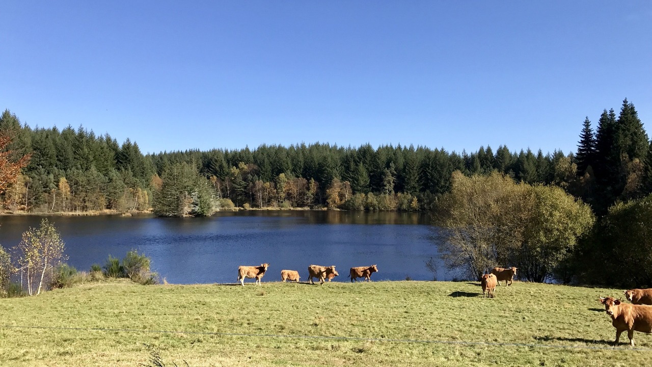 Photo of Outdoor in Viam