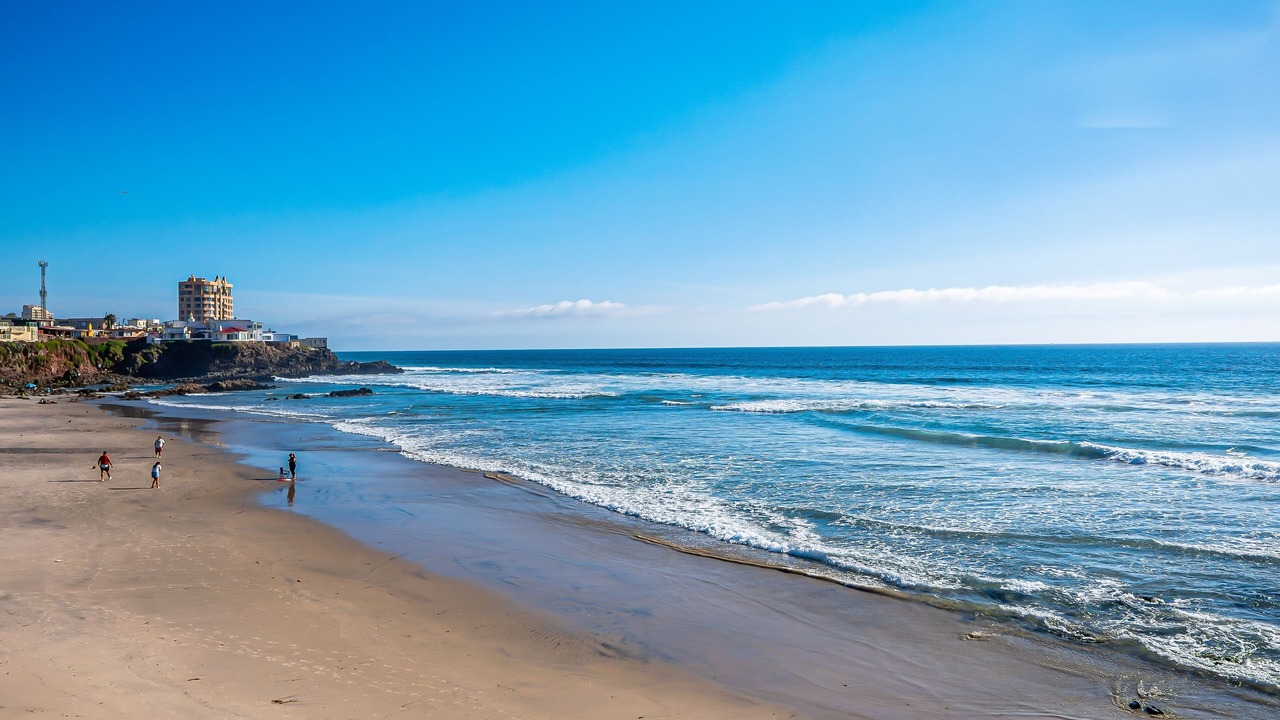 Photo of Others in La Paloma