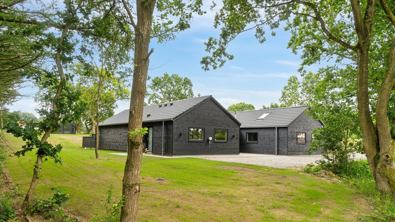 Photo of Others in Saksild Strand