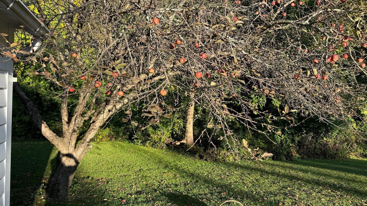 Photo of Others in Stockbridge