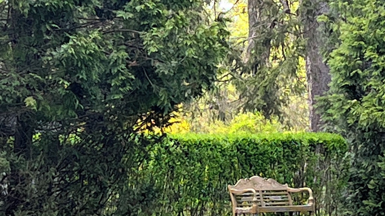 Photo of Outdoor in Stockbridge