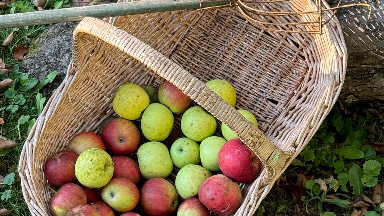 Photo of Others in Stockbridge