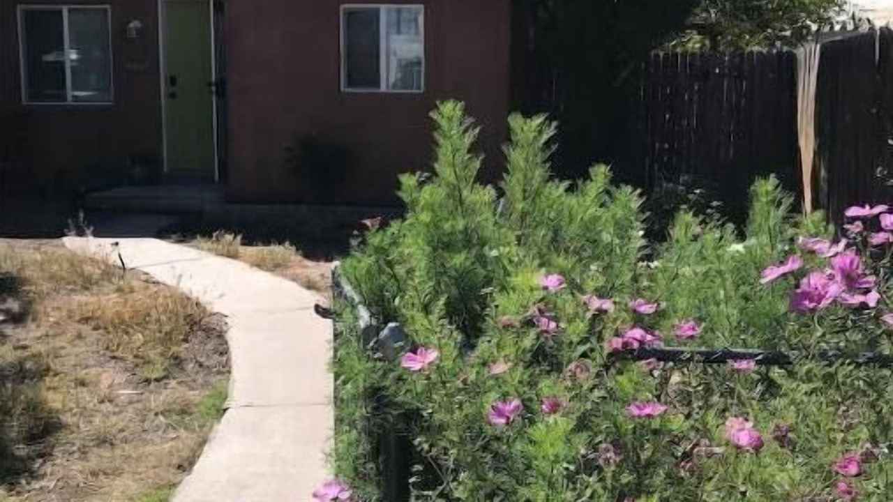 Photo of Outdoor in Albuquerque