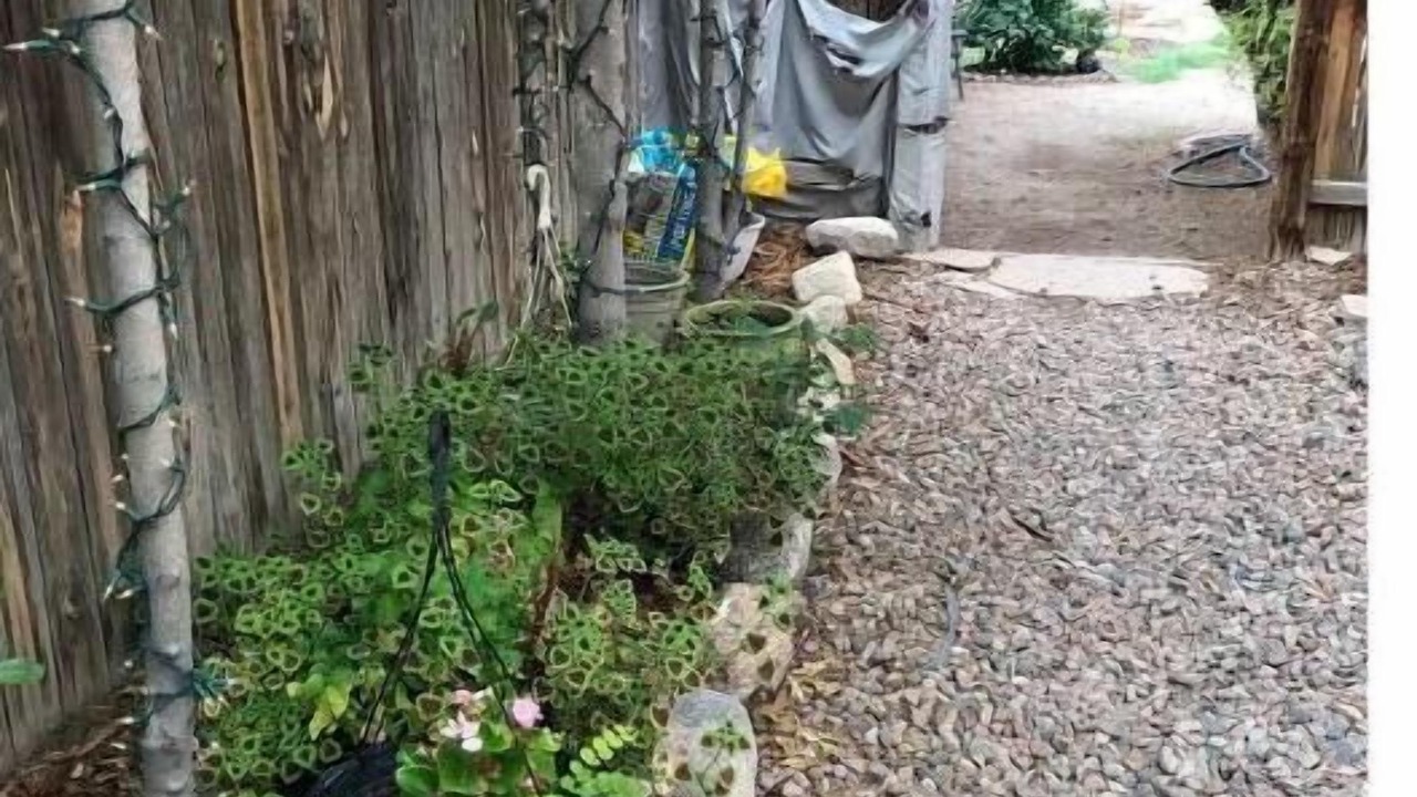 Photo of Outdoor in Albuquerque