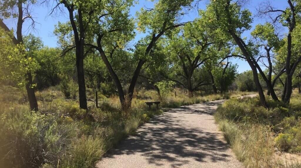 Photo of Outdoor in Albuquerque