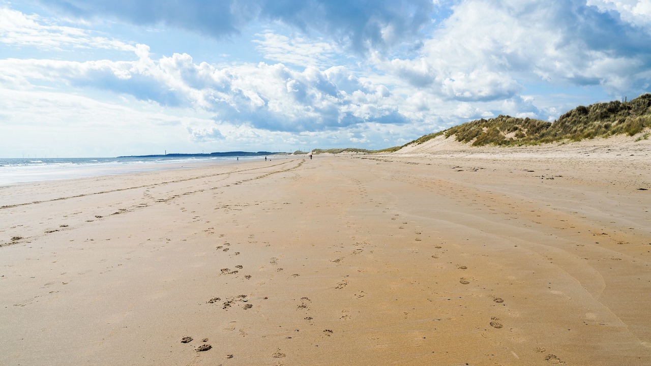 Photo of Others in Woodhorn