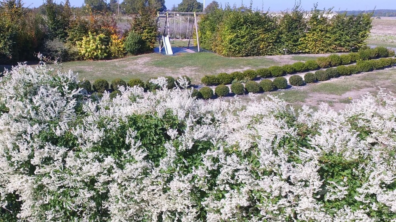 Photo of Outdoor in Lerne