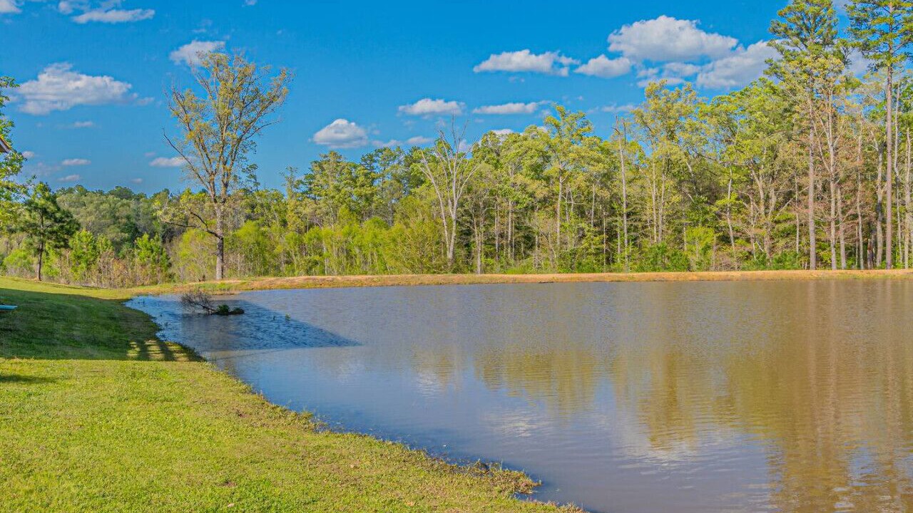 Photo of Outdoor in Winnsboro