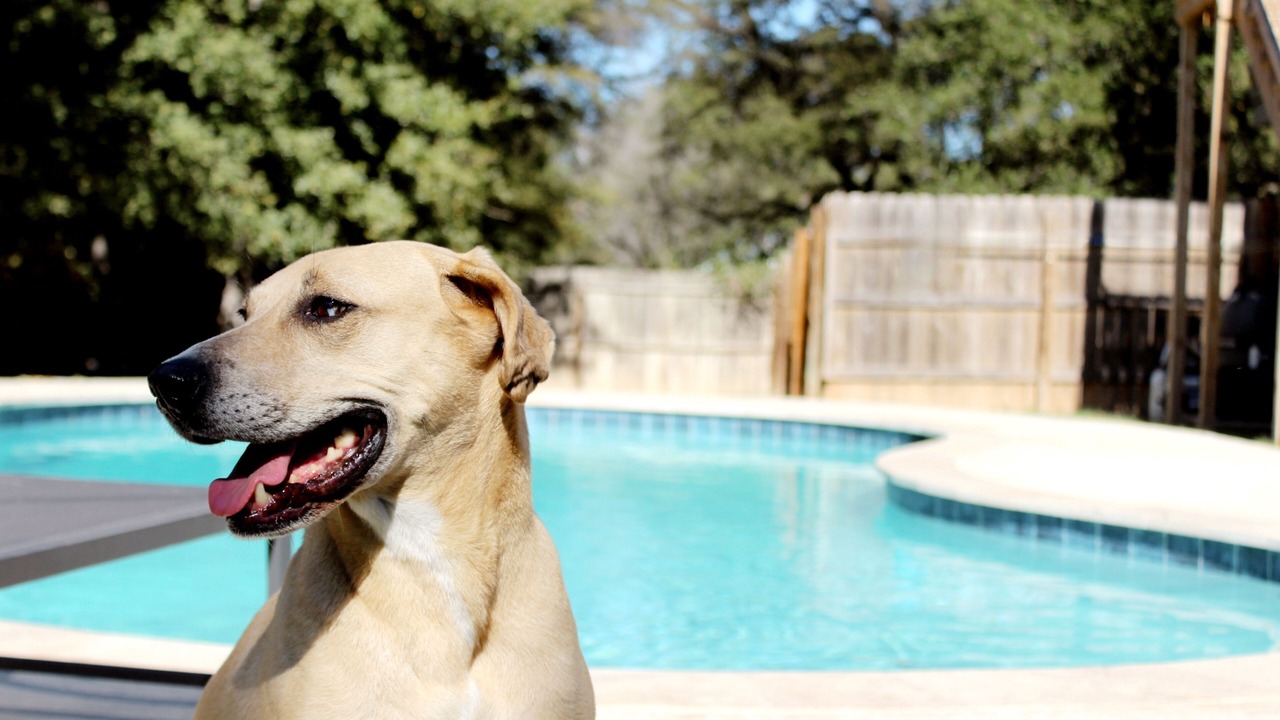 Photo of Outdoor in Waco