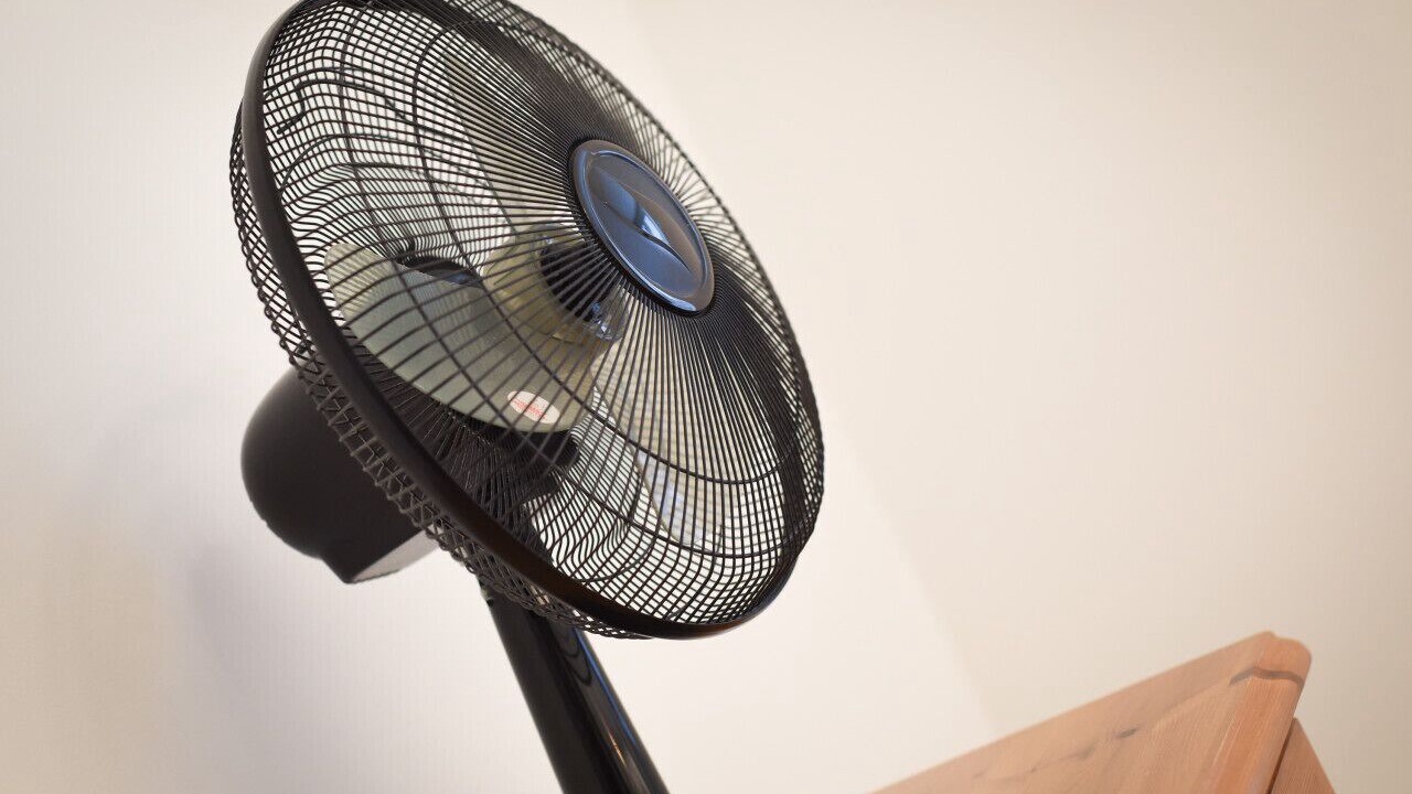 Photo of Others in Chichester