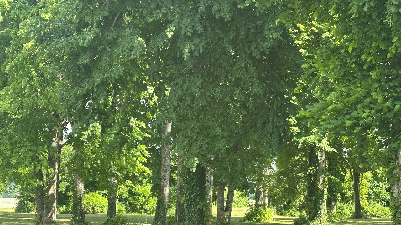 Photo of Others in Princay