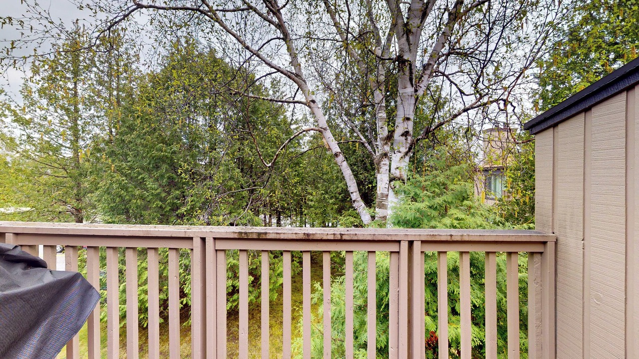 Photo of Outdoor in Collingwood