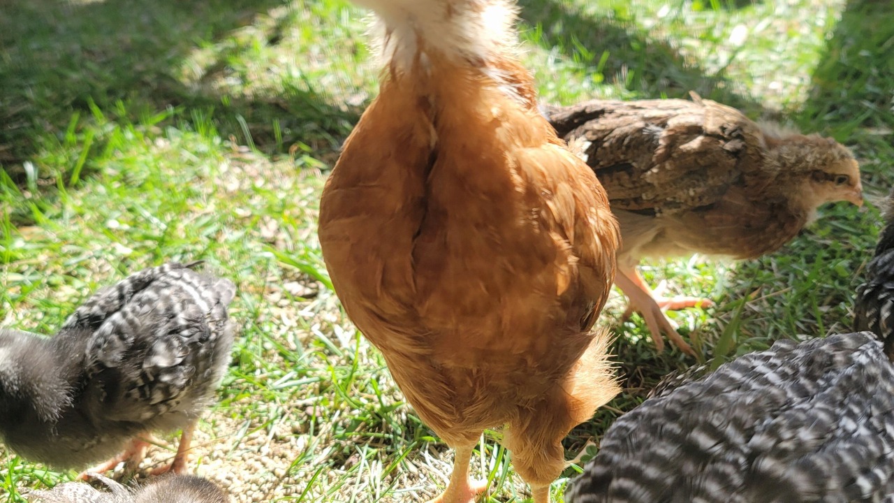 Photo of Others in New Milford