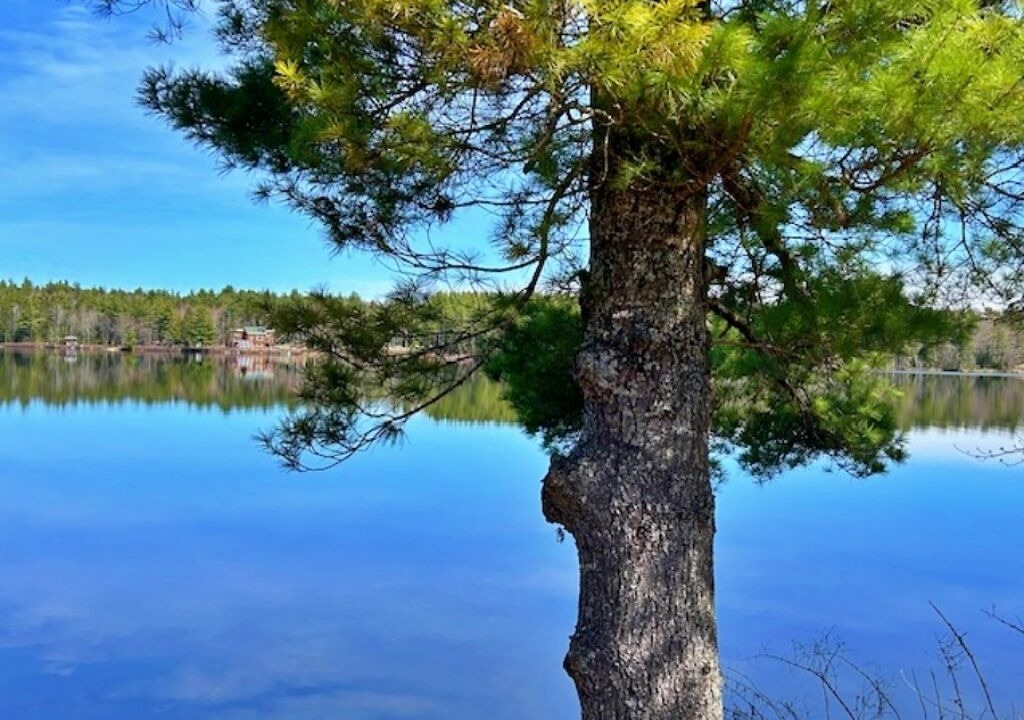 Photo of Outdoor in Lunenburg County