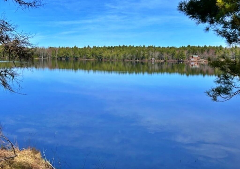 Photo of Others in Lunenburg County
