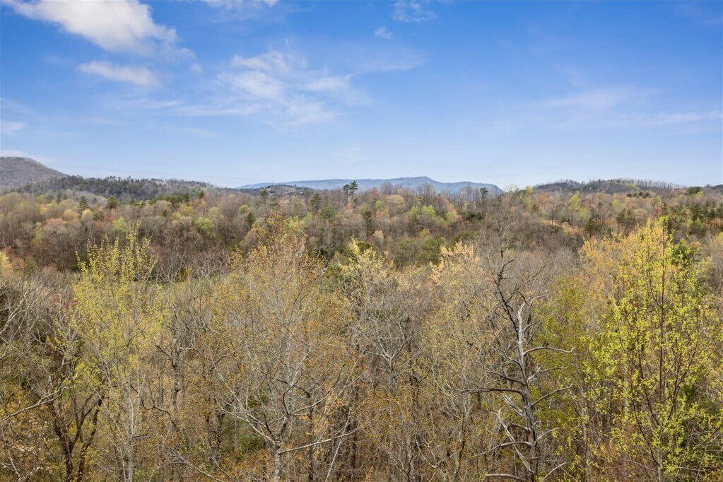 Photo of Others in Pigeon Forge