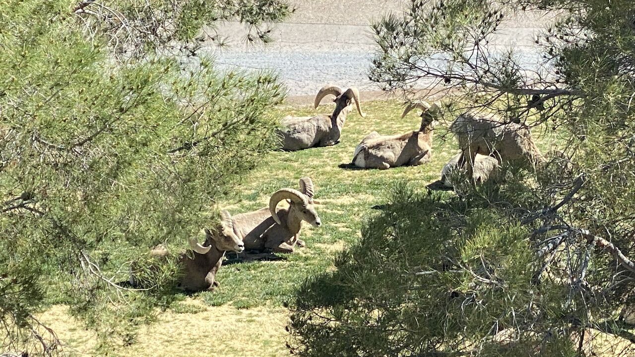 Photo of Others in Boulder City