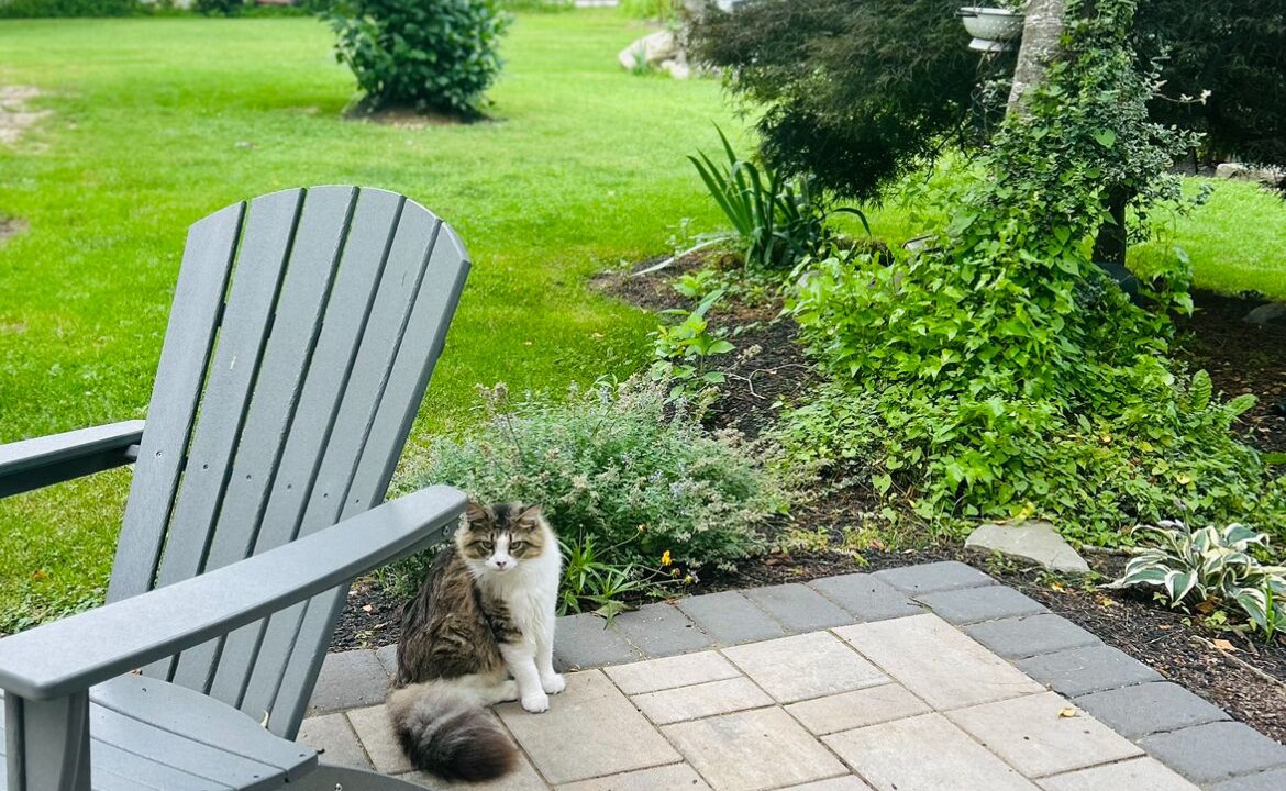 Photo of Patio Balcony in Oxford