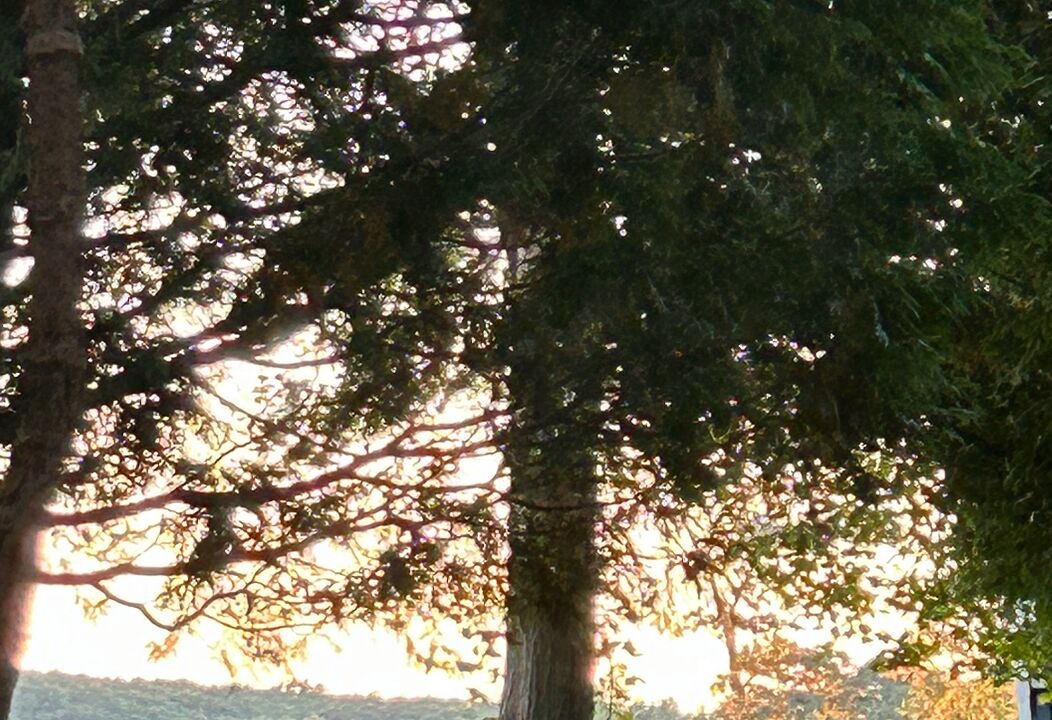 Photo of Others in Oxford