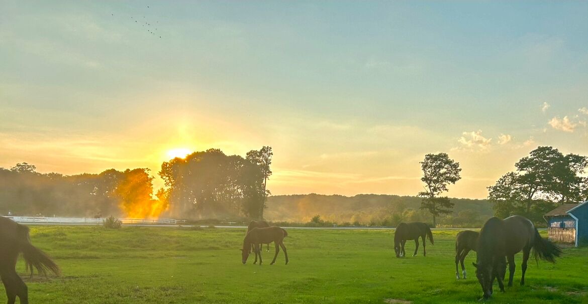 Photo of Others in Oxford