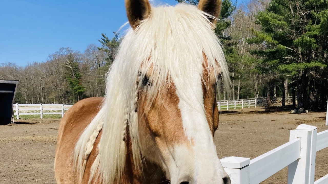 Photo of Outdoor in Oxford