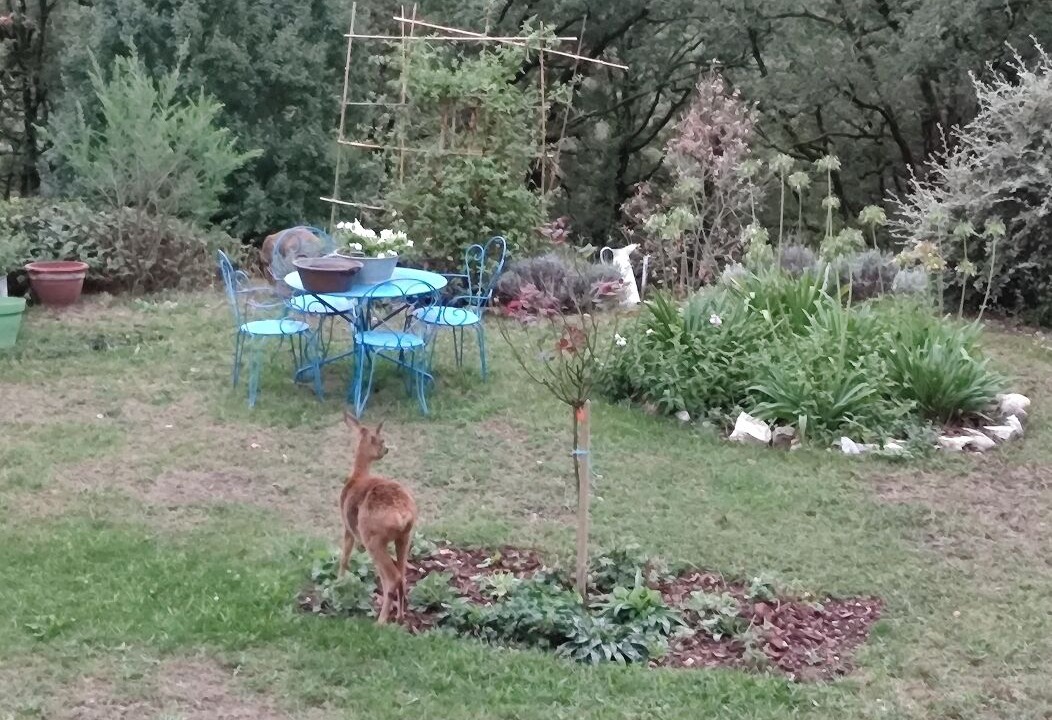 Photo of Outdoor in Concores