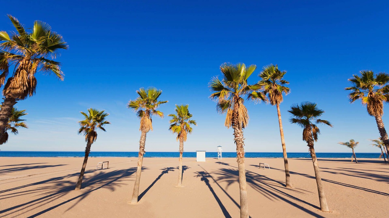 Photo of Others in Grau i Platja