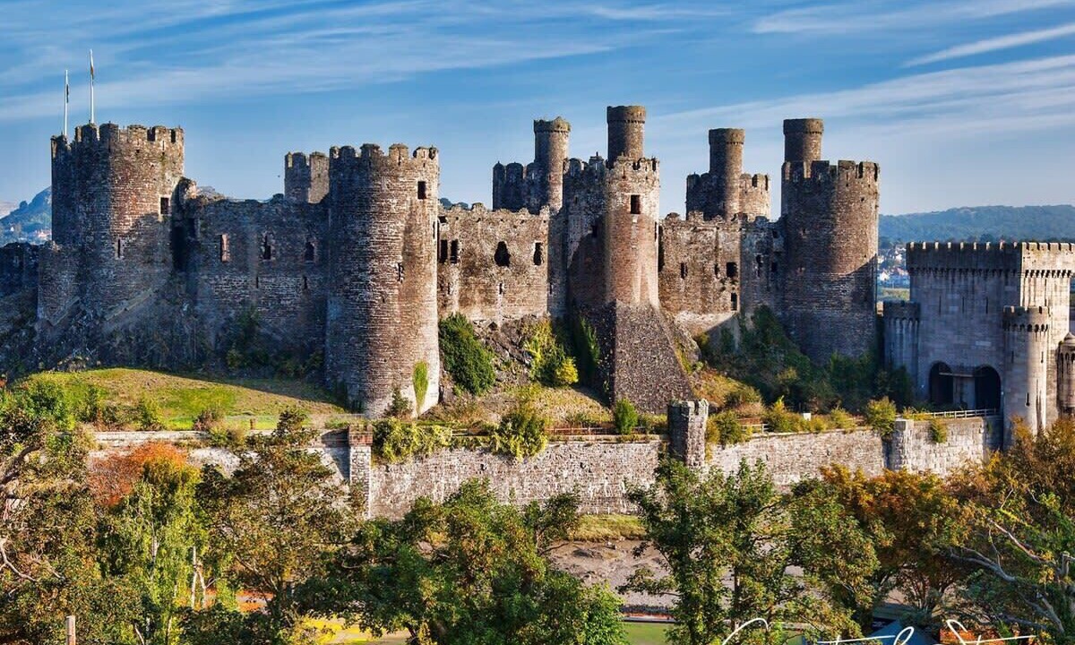 Photo of Others in Wrexham