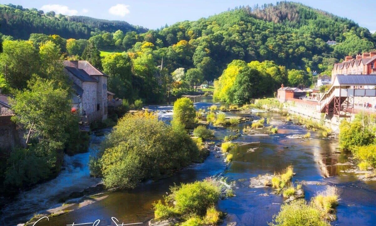 Photo of Others in Wrexham