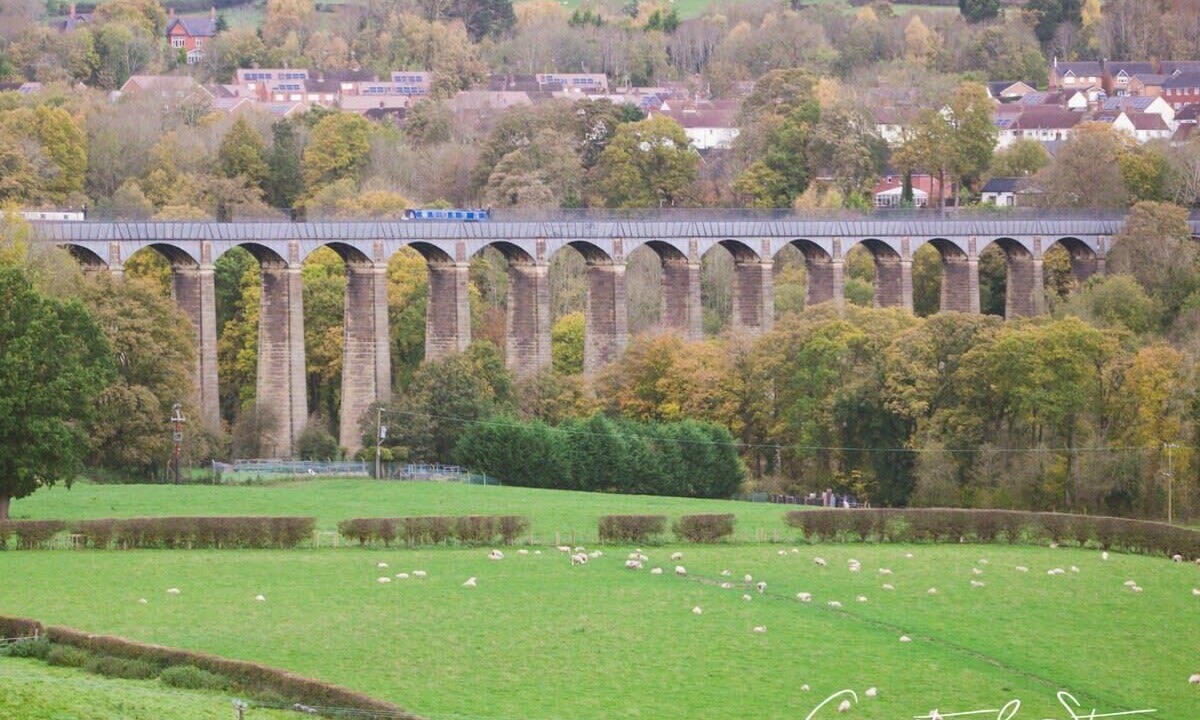 Photo of Others in Wrexham