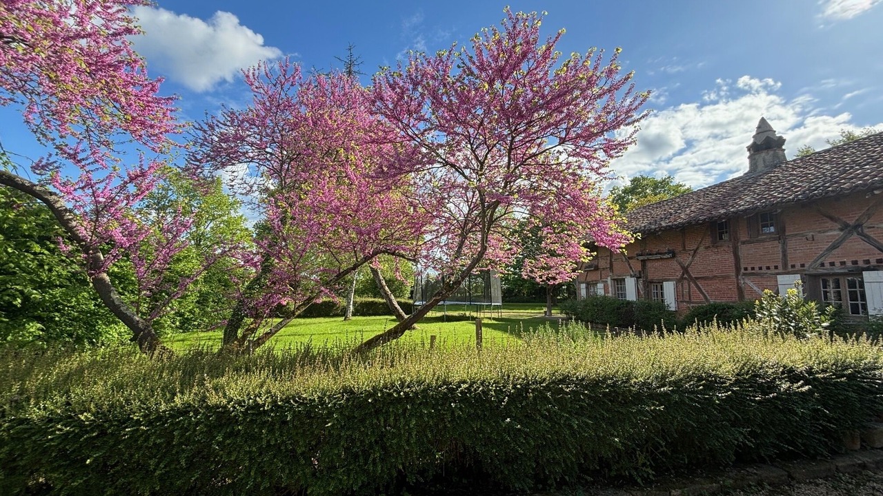 Photo of Outdoor in Chevroux