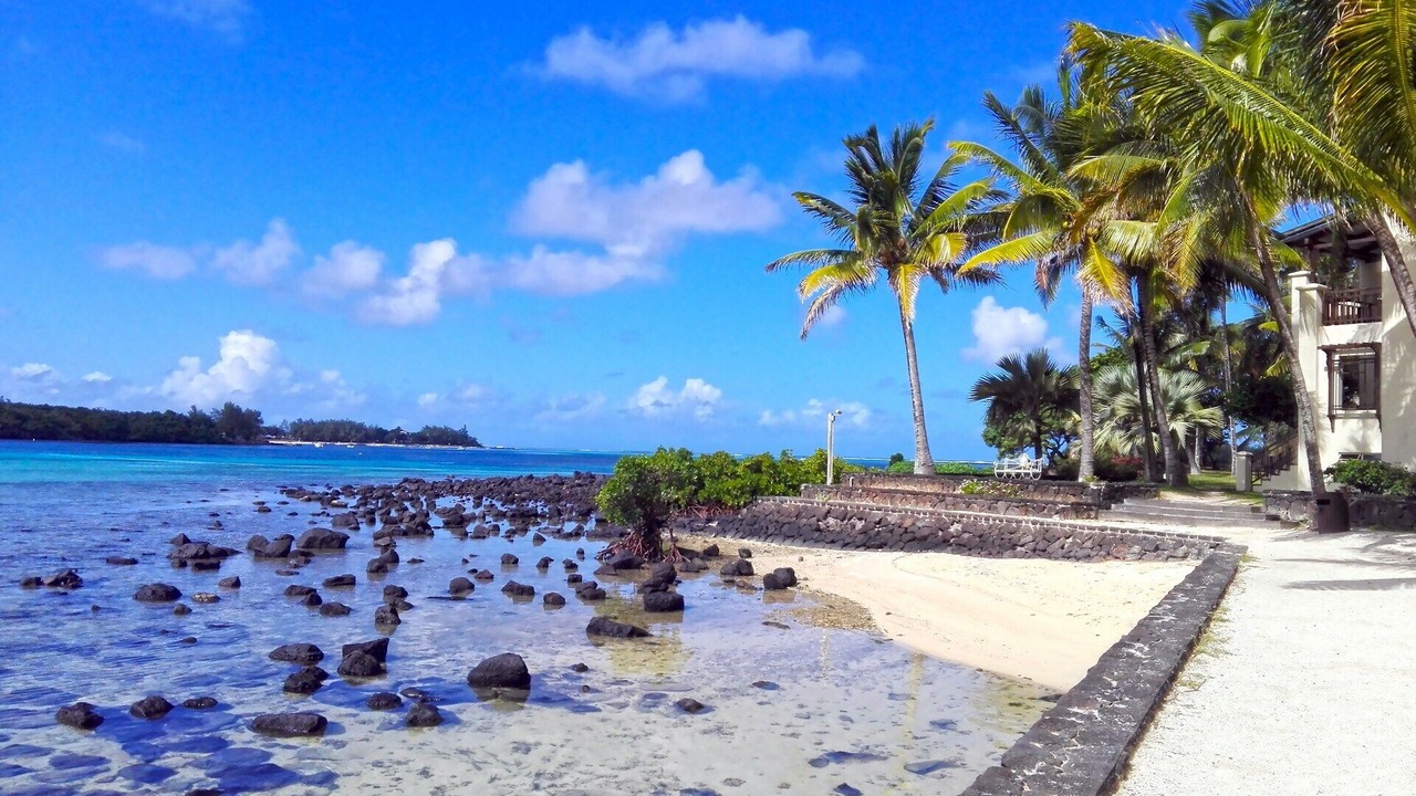 Photo of Others in Dublin