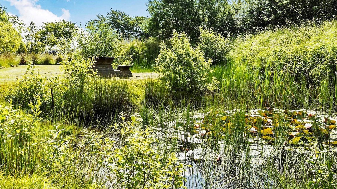 Photo of Outdoor in Akirkeby
