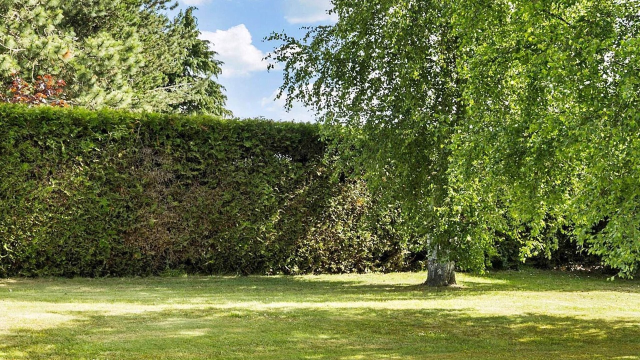 Photo of Outdoor in Akirkeby