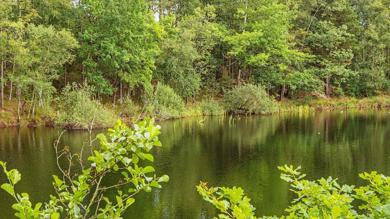 Photo of Outdoor in Skalstrup