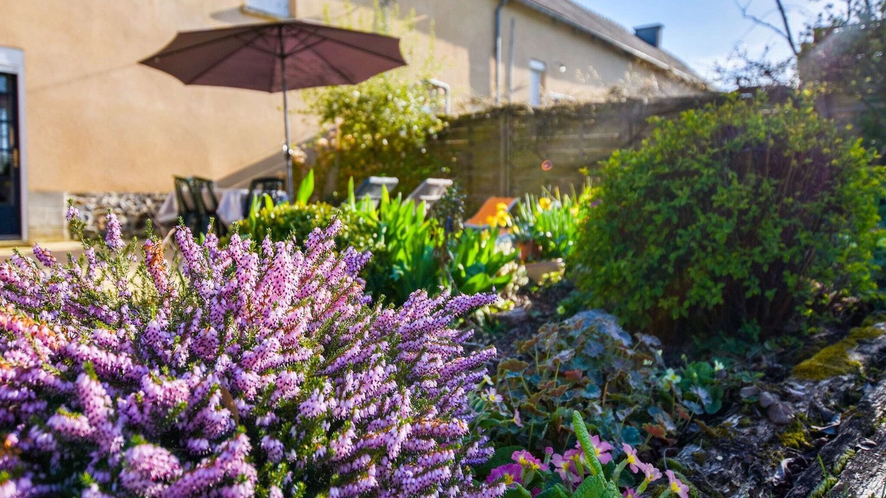 Photo of Outdoor in Lanrelas