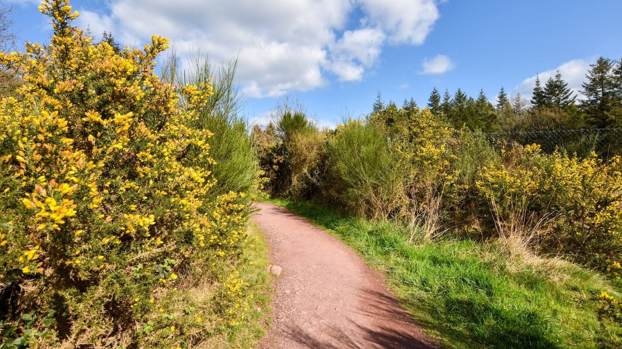 Photo of Others in Lanrelas