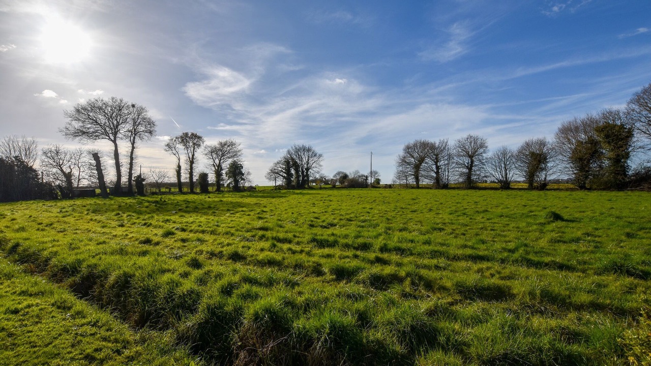 Photo of Others in Lanrelas