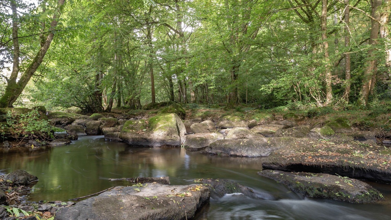 Photo of Others in Lanrelas