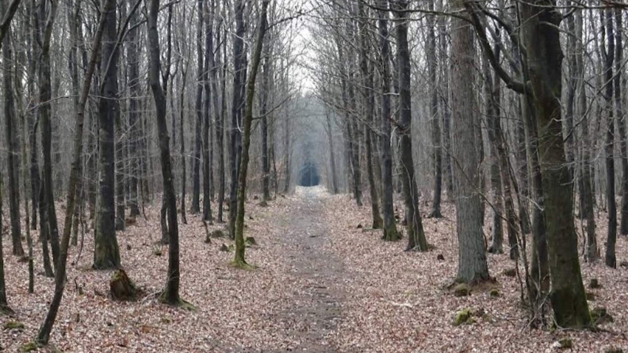 Photo of Outdoor in Dannemare