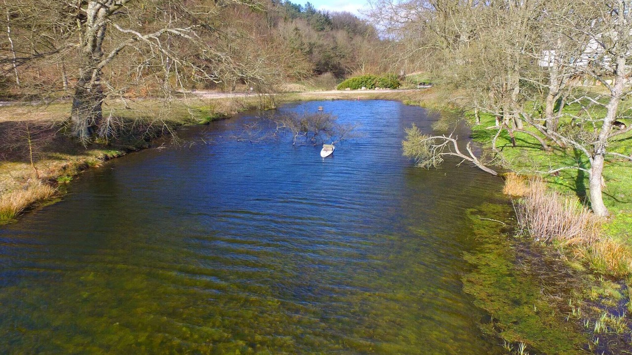 Photo of Others in Handrup Strand