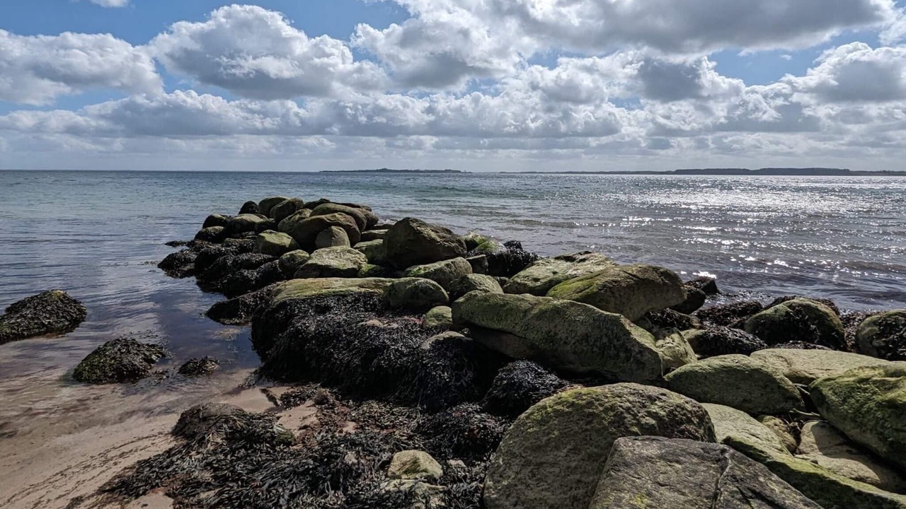 Photo of Others in Diernæs Strandby