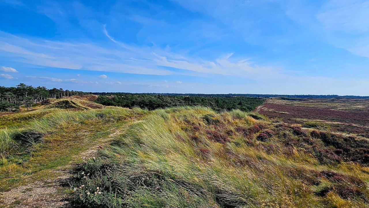 Photo of Outdoor in Kongsmark