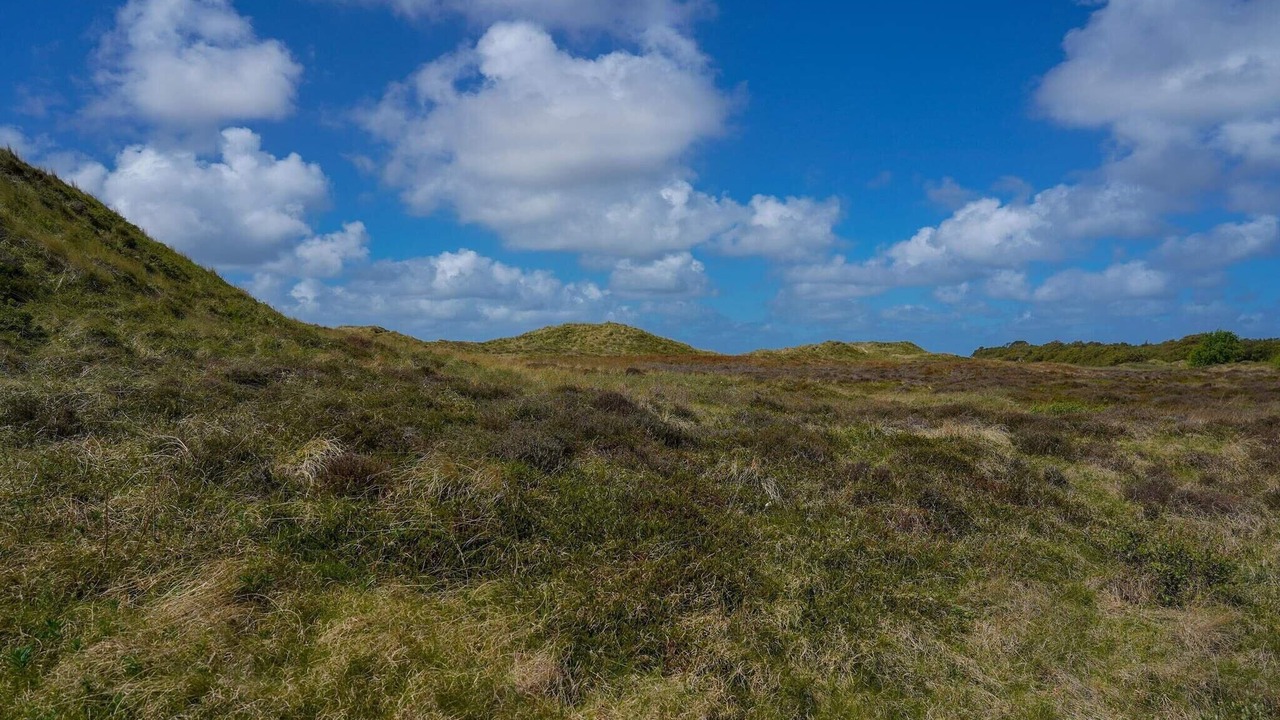 Photo of Outdoor in Kongsmark