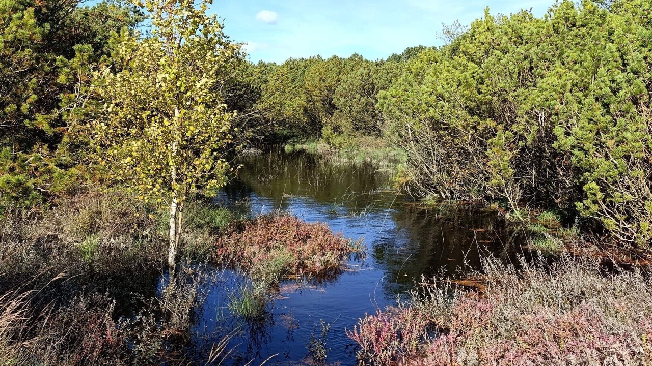 Photo of Outdoor in Kongsmark